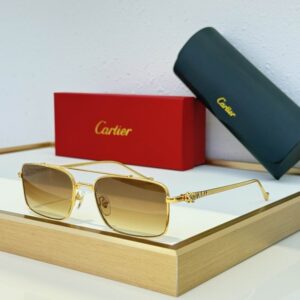 Cartier Glasses 08smh306 (7) 3181899