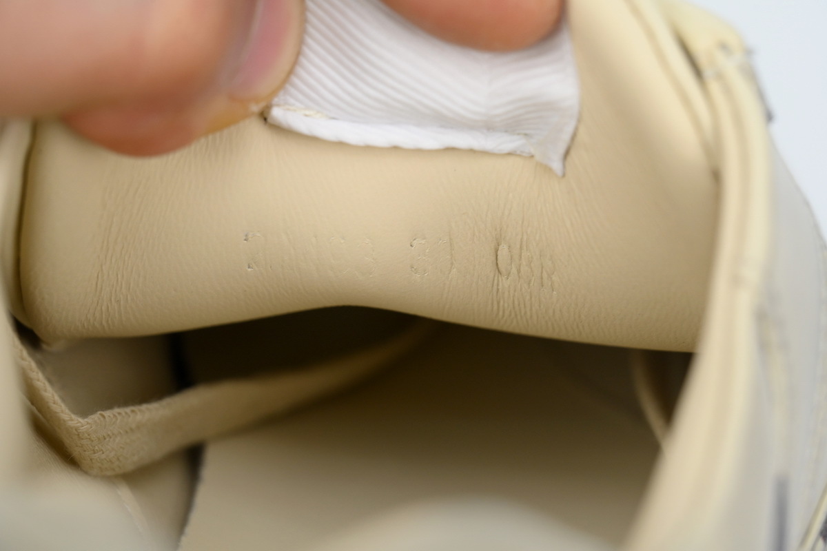 New Collection Gucci Sneaker 081 New Collection Gucci Sneaker 081