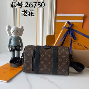 New Collection LV Bag 2510