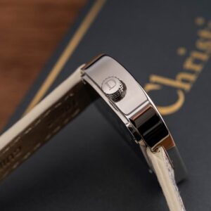 Dior 24X18mm 39 (6) 3330334