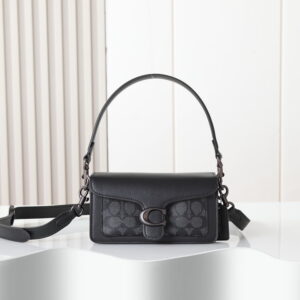 New Collection Coach Bag 71