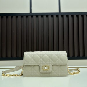 New Collection Dior Bag 1099