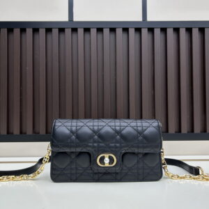 New Collection Dior Bag 1098