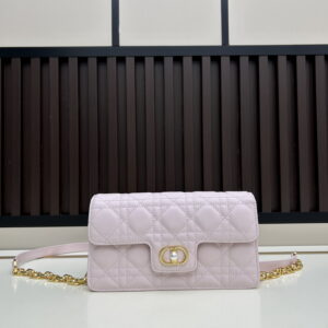 New Collection Dior Bag 1100