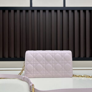 Dior s3117 21x11 5x4cm jj23 2007936