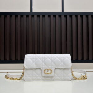 New Collection Dior Bag 1101