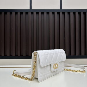 Dior s3117 21x11 5x4cm jj32 2007945