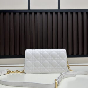 Dior s3117 21x11 5x4cm jj33 2007944