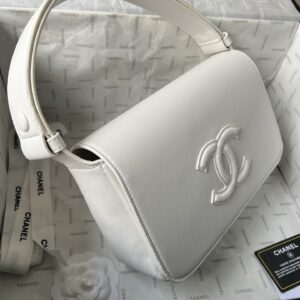 New Collection Chanel Bag 1095