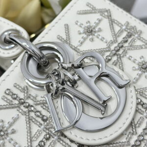 Dior Lady M0613 22x12x6cm yz6 2011901
