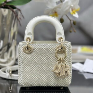 New Collection Dior Bag 1111