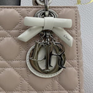 Dior M0538 20x18x8cm yz4 2012004