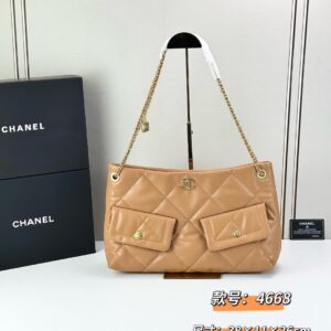 New Collection Chanel Bag 1073