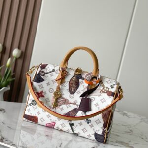 New Collection LV Bag 2851